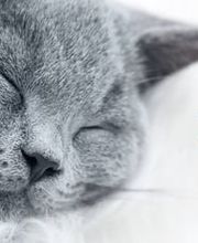 Bäbler Heizungen AG Bild 4