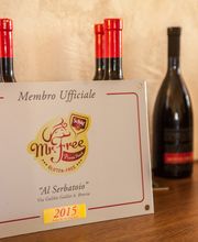 Gallery Professionale