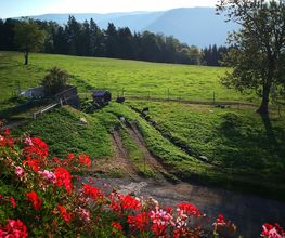 Ferienparadies Althäuslehof Bild 5