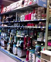 Centrakor Ambutrix image 6