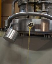 Moulin de Sévery Bild 5