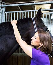 König Hans Georg Dr.med.vet. Bild 4