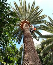 Alp'azur Elagage image 17