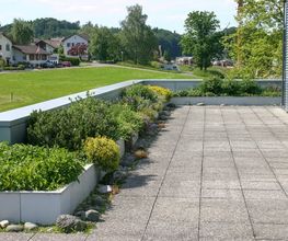 Brenner AG Gartenbau Bild 11