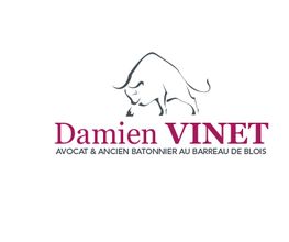 Vinet Damien image 2
