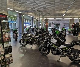 Kawasaki Navarro imagen 10