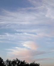 Patricia Antonia Médium image 6