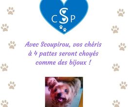 Aide Informatique image 6