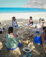 3-E Avenir Pro image 6