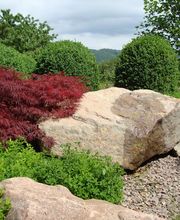 VITA VERDE AG Bild 13