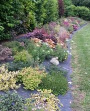 Jardin Tradition image 6