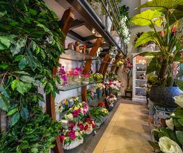 Gallery Professionale