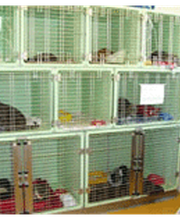 Tierärztliche Klinik Reichenberg Evidensia GmbH Bild 2