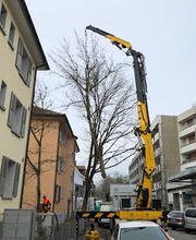 Tschan Gartenbau & Gartenunterhalt GmbH Bild 12