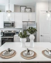 Yardly Monroe image 2