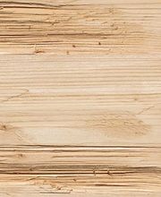 Eduard Steiner AG Bild 1