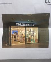 Calzedonia Bild 1