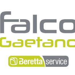 Falco Gaetano logo