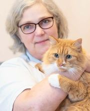 Tierarzt Möhnle Kehl, Fachtierärztliches Zentrum für Kleintiere Kehl-Hanauerland Bild 6