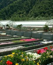 Landwirtschaftszentrum Visp