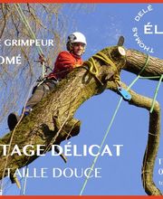 Delé Thomas image 4