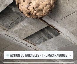 Action 3D Nuisibles image 6