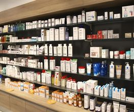 Apotheke an der Elbe - Radebeul Bild 3