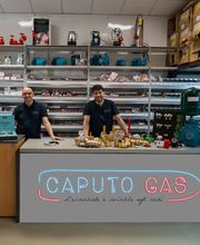 Gallery Cliente