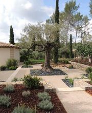 Auffray Paysage EURL image 16