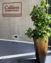 Baum & Raum Daniela Hinkelmann Bild 5