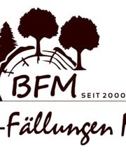 Baumfällungen Müller Bild 6