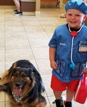 Parkwood Animal Hospital & Boarding image 4