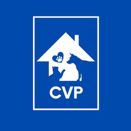 Pronto Soccorso Veterinario 24h - Clinica Veterinaria Ponte Felcino logo