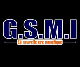 GUYANE SOLUTION MONETIQUE ET INFORMATIQUE GSMI image 7