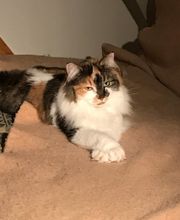 Tierarztpraxis Keller Bild 1