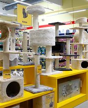Kratzbäume im DAS FUTTERHAUS in Gardelegen