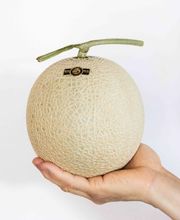 Kado no Mise image 5