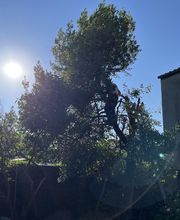 Julien Chauvin image 4