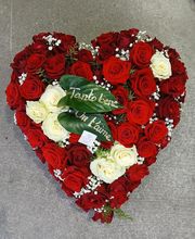 Nymphea Fleurs image 7