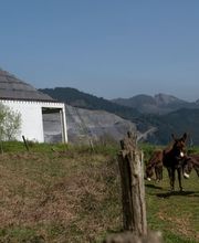 310867049-1-zBdMfoqUcI1782293795507.jpeg