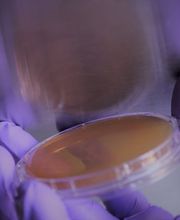 Biolytics Labor für biologische Analysen Bild 3