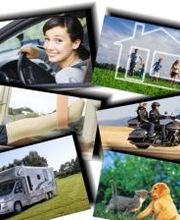 Sun Assurances image 1