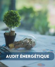 Activ'Expertise Landes image 3