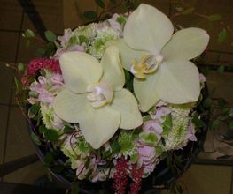 Blumen Hohe Bild 1