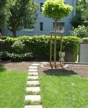 Schneider Garten Bild 6