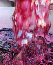 Clos du Pélerin image 1