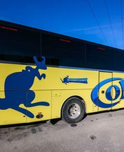 Cars Collard image 16