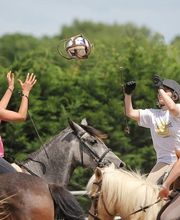 Centre Equestre les Petites Rivières image 1