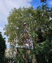 M.B.Elagage image 11