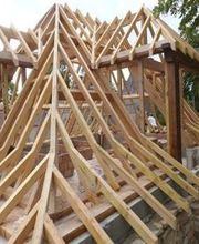 Fôrets Baritussio image 2